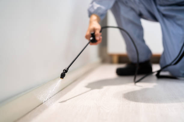 Licensed Pest Control service in Oak Hill, WV - Show Me Pest Control
