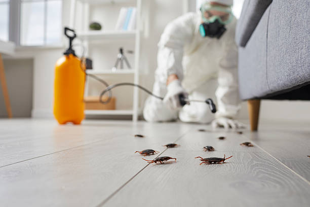 Commercial Kitchen Cockroach Control in Oak Hill